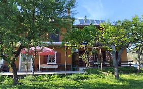 Apartments Mohorcic